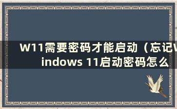 W11需要密码才能启动（忘记Windows 11启动密码怎么办）